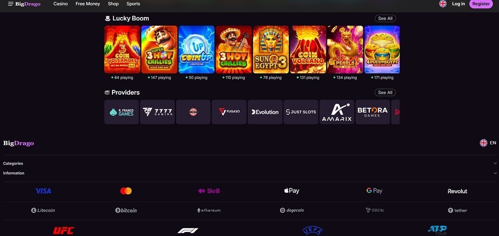 BigDrago Casino Payment Methods