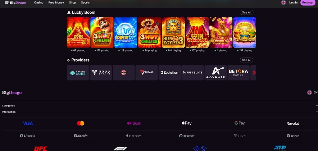 BigDrago Zahlungsmethoden bei Casino